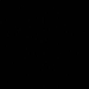 Meet your Posher, Vincent